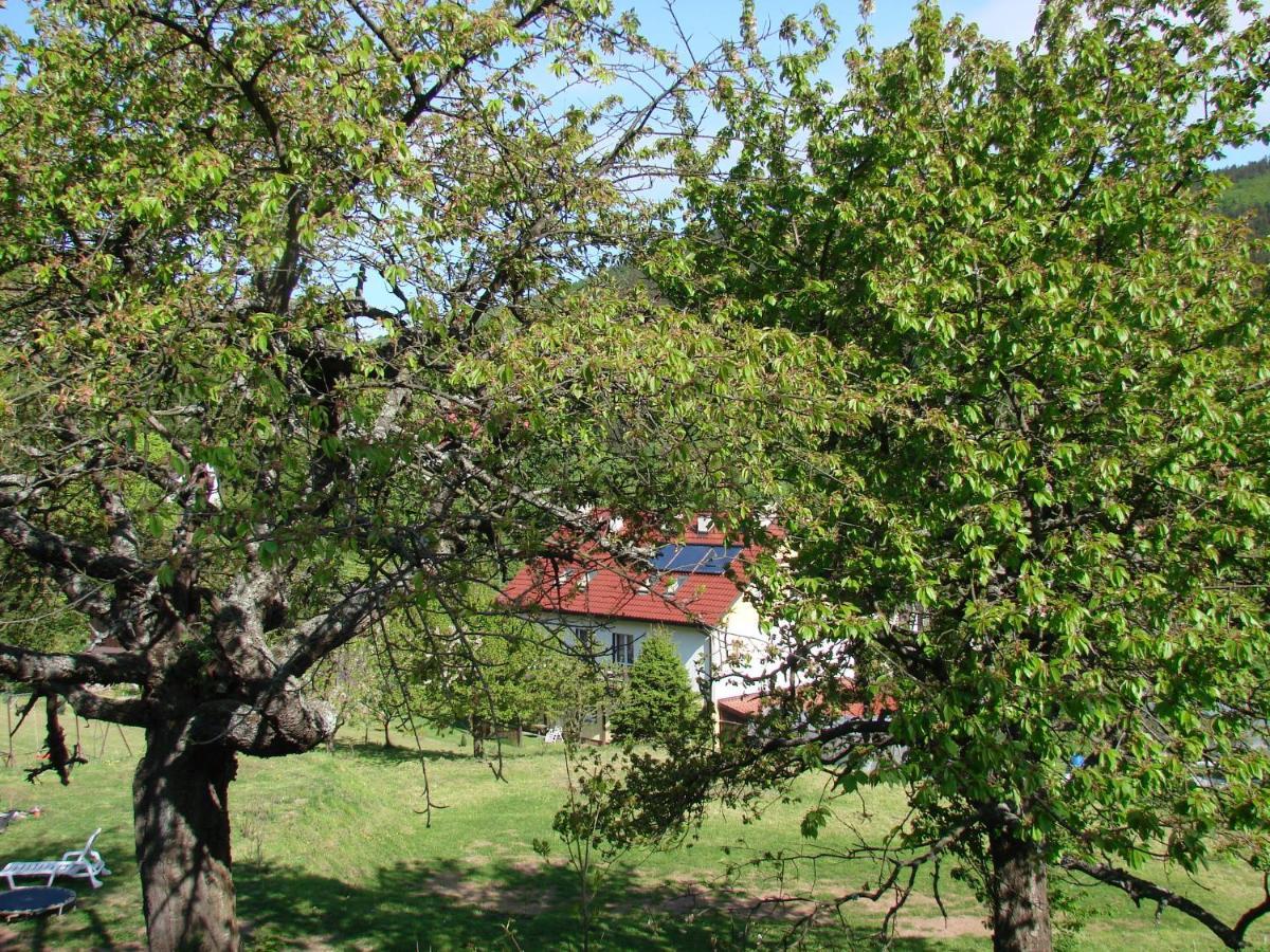 Agroturystyka Gluszyca Lomnica Lomnica  Exterior photo